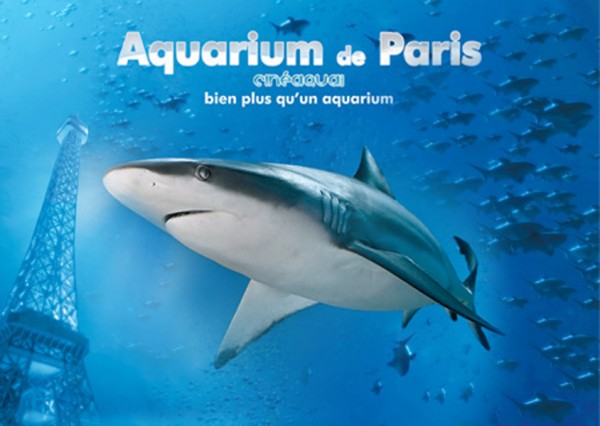 Vivent-les-requins.jpg