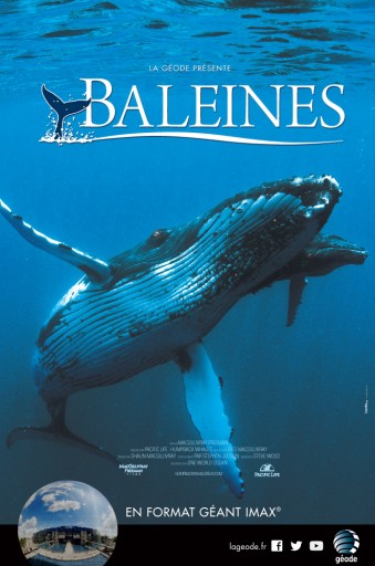 AFFICHE_BALEINES_Expressionsdenfants