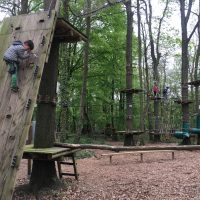 Sherwood Parc, la tête dans les arbres