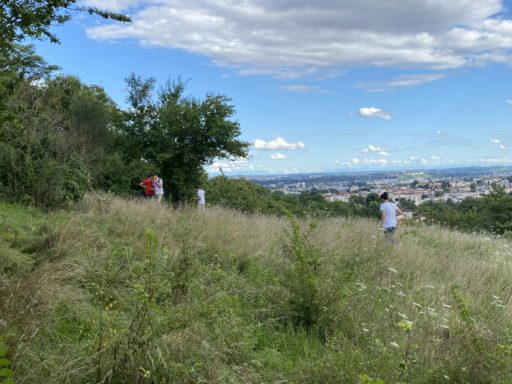 Les rescapés de la Bachasse _ Expressionsdenfants _ panorama Lyon