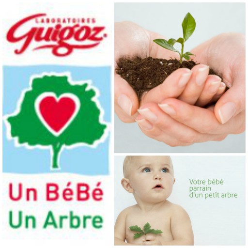 Sortie Guigoz Un Bebe Un Arbre Concours Expressions D Enfants