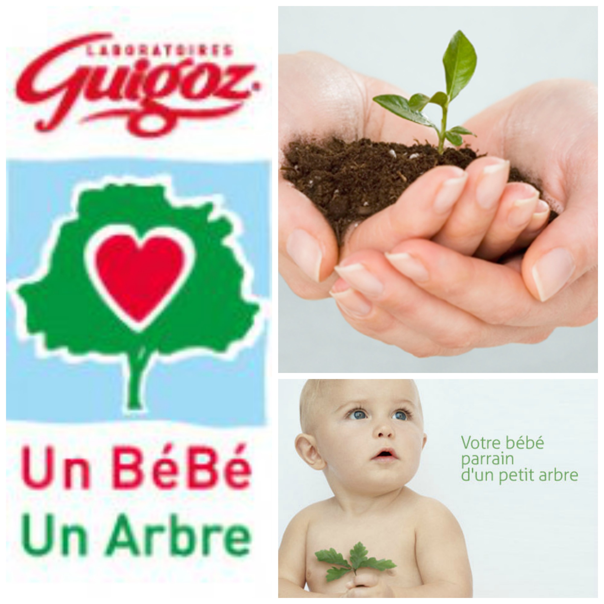 Sortie Guigoz Un Bebe Un Arbre Concours Expressions D Enfants Sortie Guigoz Un Bebe Un Arbre Concours Expressions D Enfants