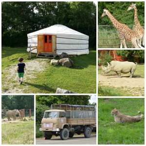 Planète Sauvage, un safari inoubliable