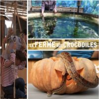 Une journée à la Ferme aux crocodiles